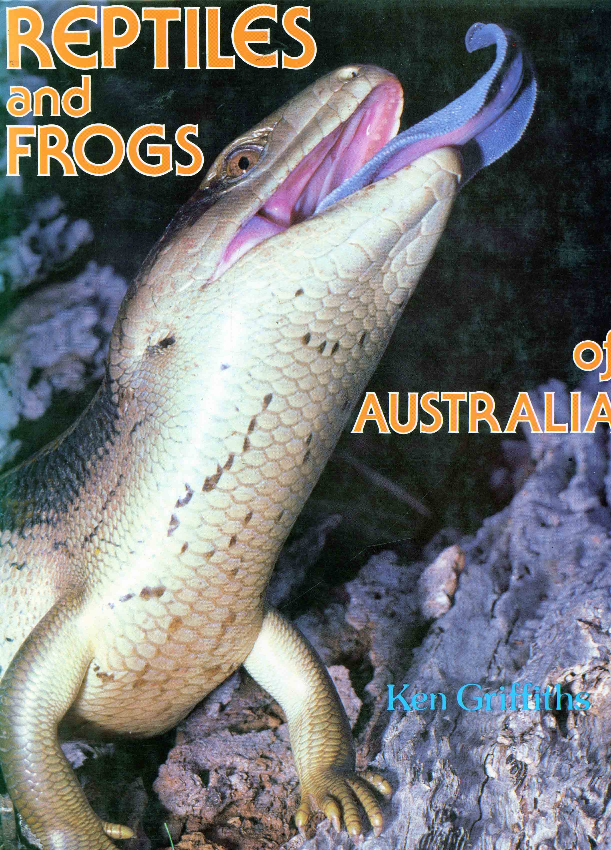 Image for Reptiles and Frogs of Australia,